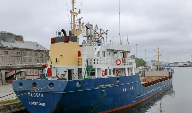 GLOBIA General Cargo IMO 7823334 photo 9