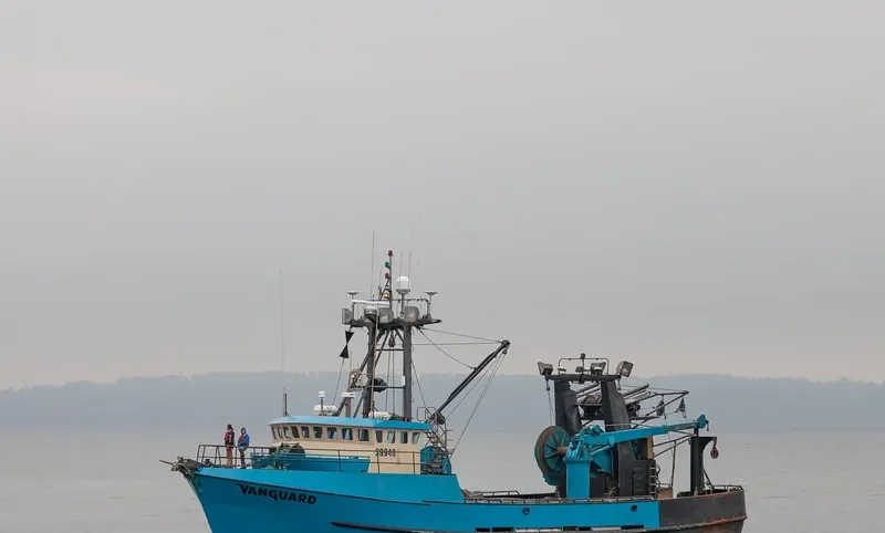 VANGUARD General Cargo IMO 7823413