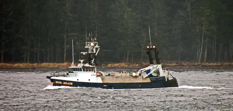 MUIR MILACH General Cargo IMO 7823425 photo 5