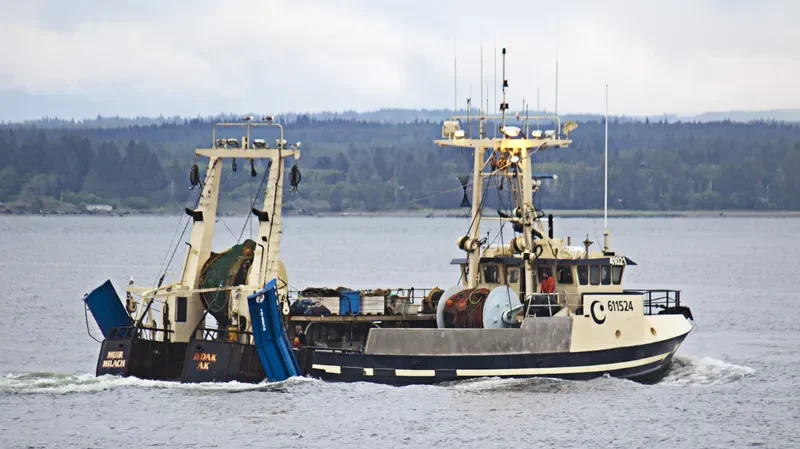 MUIR MILACH General Cargo IMO 7823425 photo 6