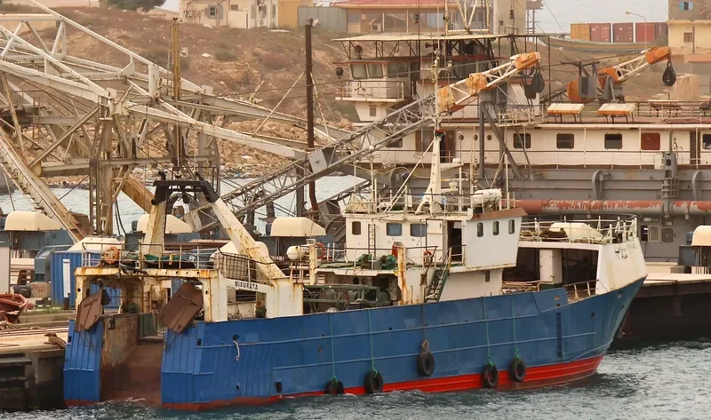SVEINN RAFN General Cargo IMO 7823970