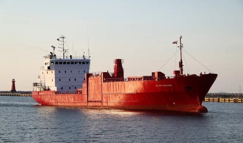 SILVER FRAMNES General Cargo IMO 7823982 photo 2