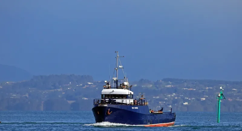 SAN HAURAKI General Cargo IMO 7824120 photo 5