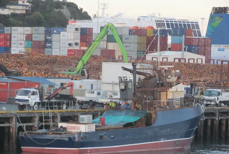 SAN HAURAKI General Cargo IMO 7824120 photo 6