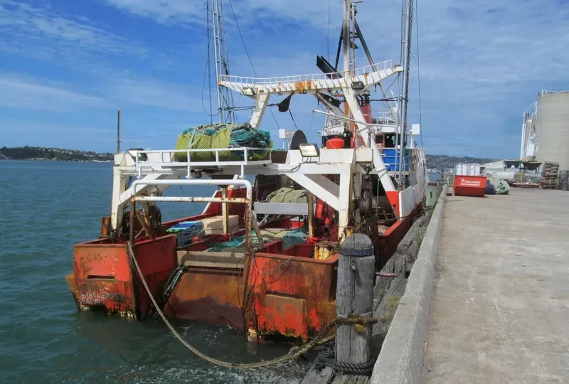 PACIFIC CHALLENGER General Cargo IMO 7824132