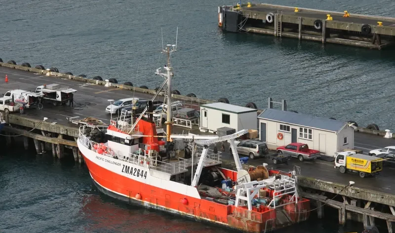 PACIFIC CHALLENGER General Cargo IMO 7824132 photo 3