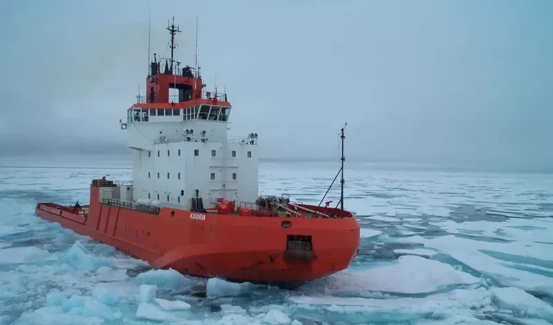 KIGORIAK General Cargo IMO 7824261 photo 8