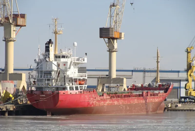 TONE General Cargo IMO 7824601 photo 4