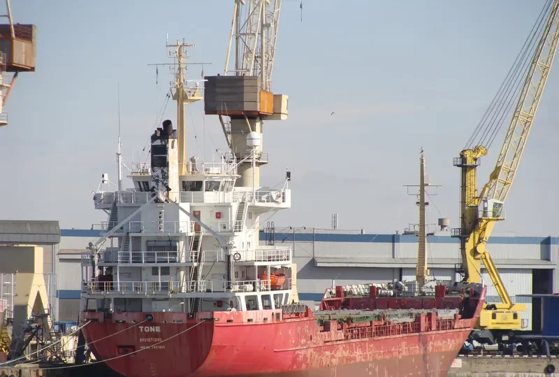 TONE General Cargo IMO 7824601 photo 5