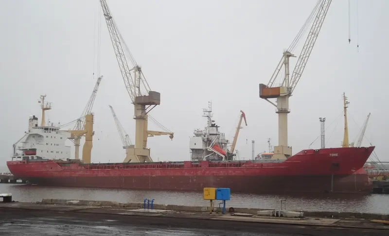 TONE General Cargo IMO 7824601 photo 6