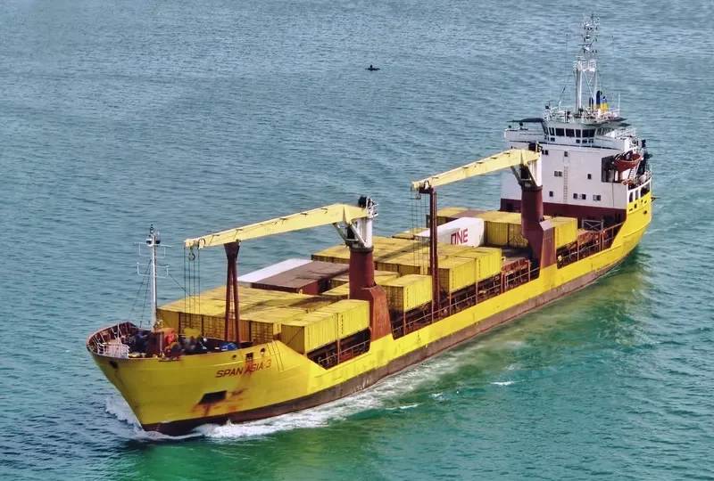 SPAN ASIA 3 General Cargo IMO 7824613 photo 8