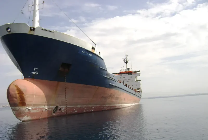 BLACK SEA TRADER General Cargo IMO 7824625 photo 3