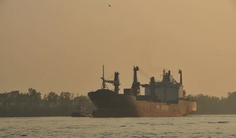 DIAMOND LAND Ro-Ro IMO 7824687 photo 4