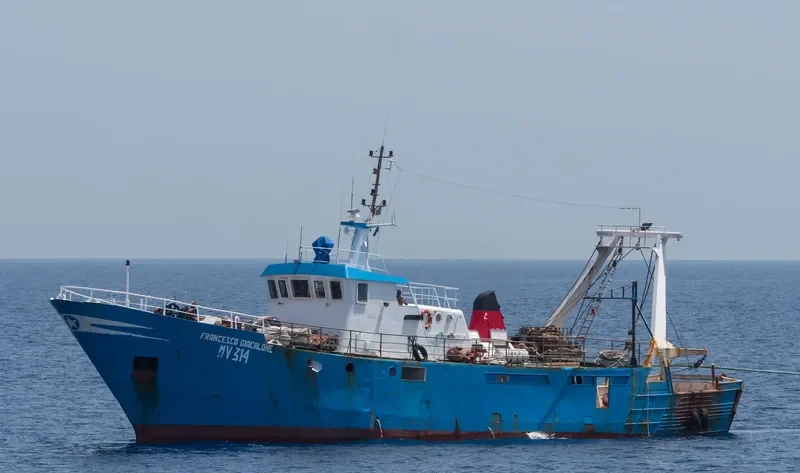 FRANCESCO GIACALONE General Cargo IMO 7824704 photo 3