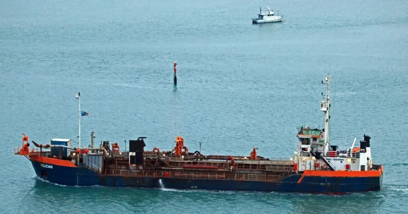 PELICAN General Cargo IMO 7825514