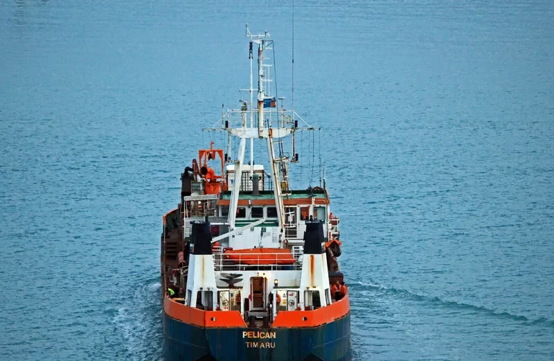 PELICAN General Cargo IMO 7825514 photo 3