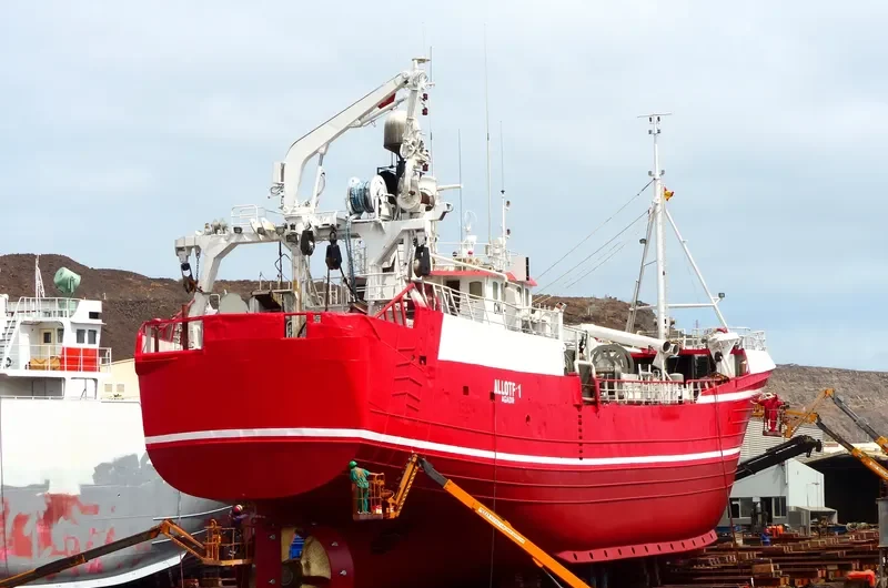 ALLOTF I General Cargo IMO 7825538 photo 3