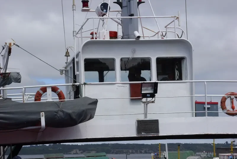 CAI CAI Ro-Ro IMO 7825617 photo 4