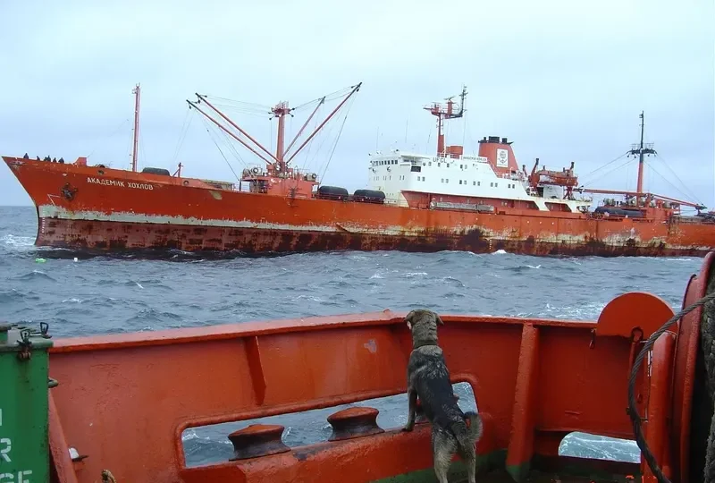 AKADEMIK KHOKHLOV General Cargo IMO 7826128