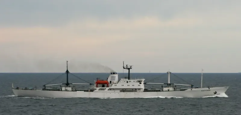 BLUE STREAM General Cargo IMO 7826130 photo 2