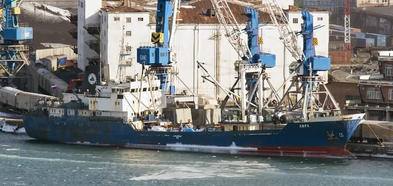LYRA General Cargo IMO 7826154 photo 2