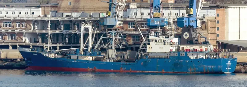 LYRA General Cargo IMO 7826154 photo 4