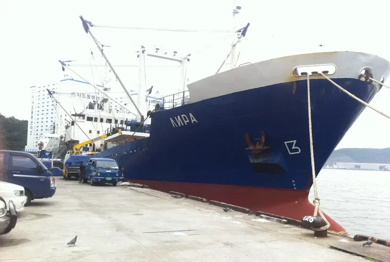 LYRA General Cargo IMO 7826154 photo 5