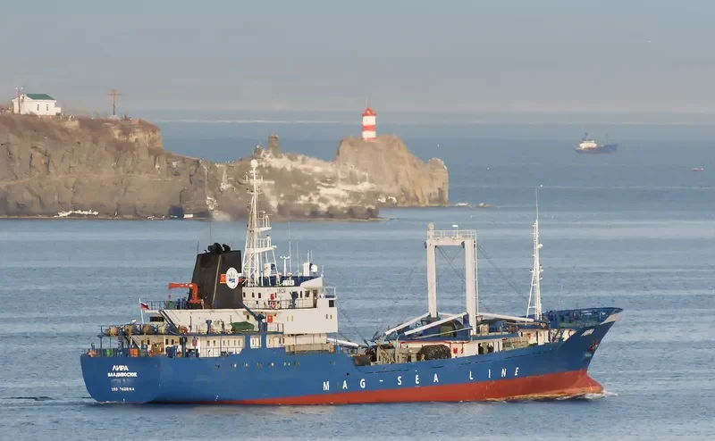 LYRA General Cargo IMO 7826154 photo 7