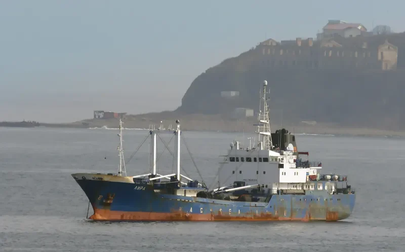 LYRA General Cargo IMO 7826154 photo 8