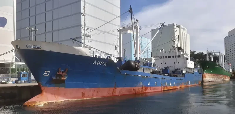 LYRA General Cargo IMO 7826154 photo 9