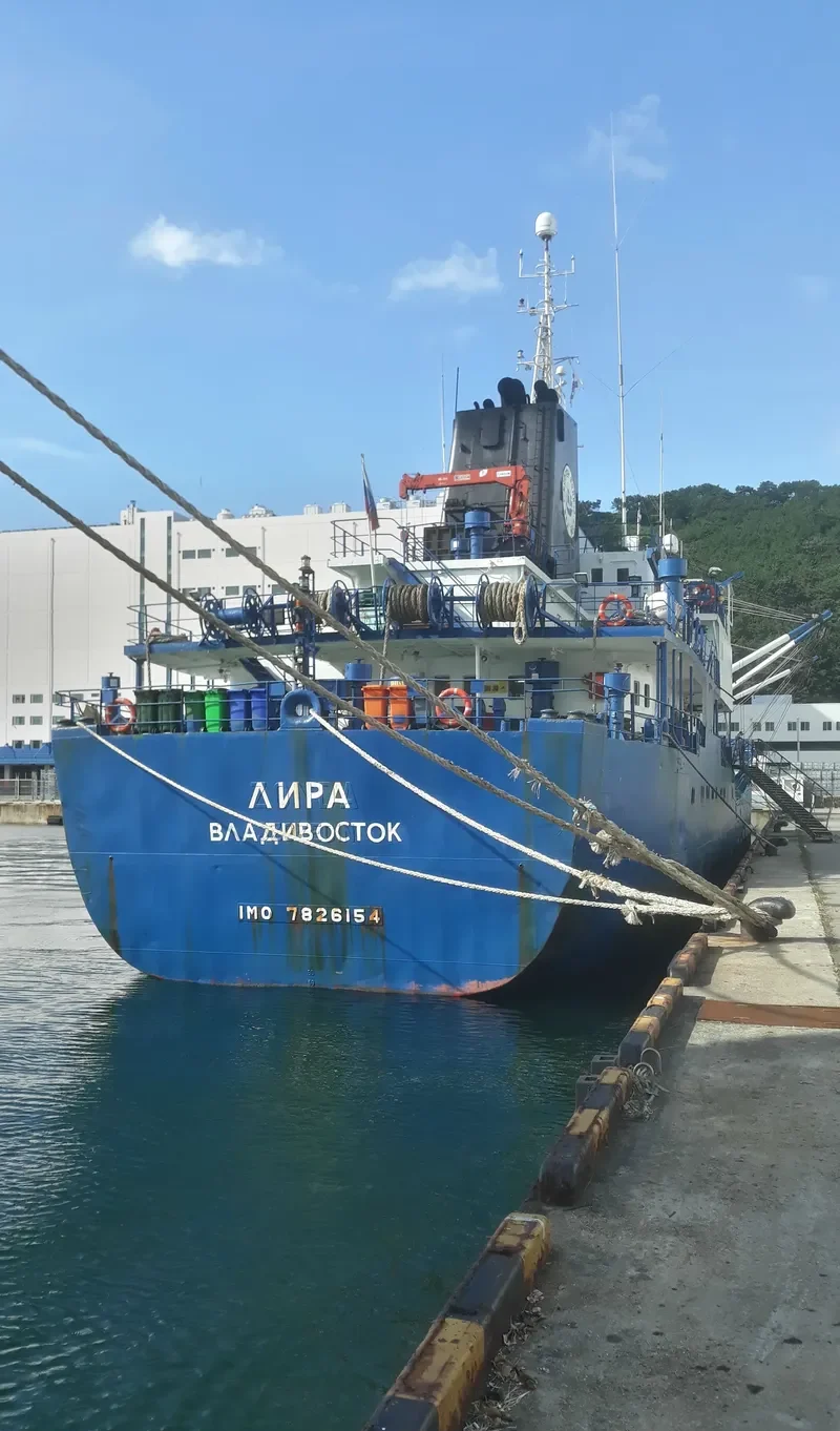 LYRA General Cargo IMO 7826154 photo 10