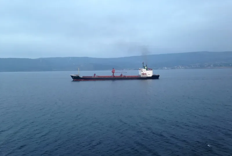 DOMINATOR General Cargo IMO 7826491 photo 3