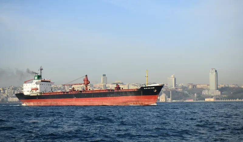 DOMINATOR General Cargo IMO 7826491 photo 5
