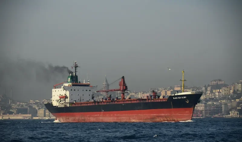 DOMINATOR General Cargo IMO 7826491 photo 6