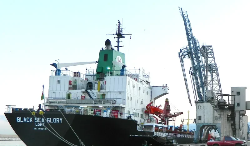 DOMINATOR General Cargo IMO 7826491 photo 8