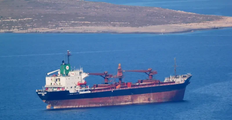 DOMINATOR General Cargo IMO 7826491 photo 10