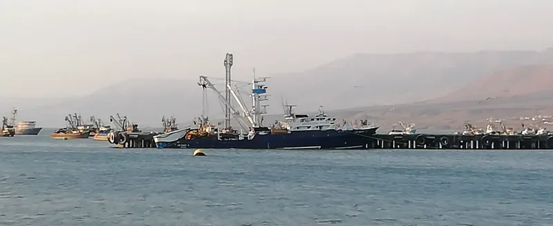 CAP.BERNY B. General Cargo IMO 7826702