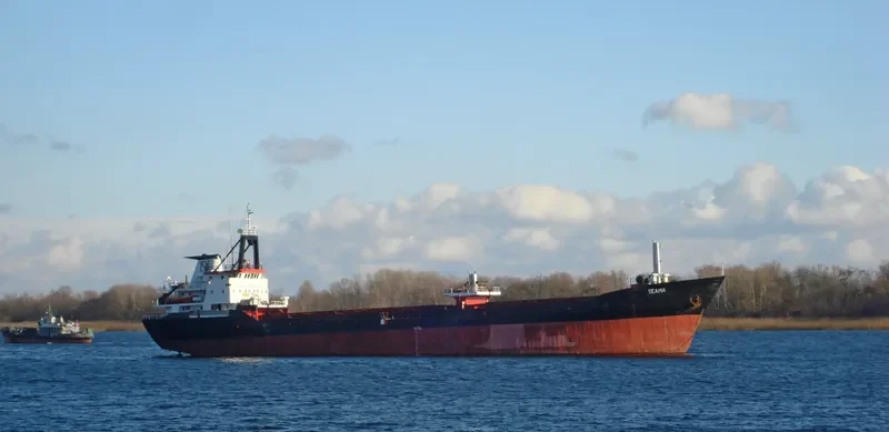 SEAMA General Cargo IMO 7827328 photo 2