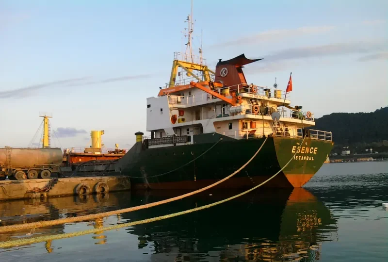 ESENCE General Cargo IMO 7827342 photo 10