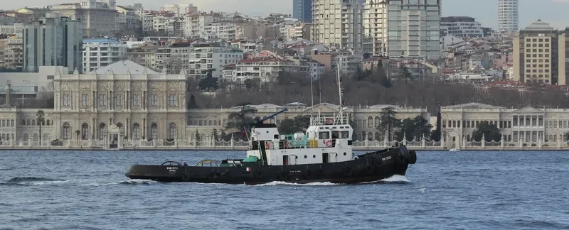 DGN CEKI Tug Boat IMO 7827380 photo 2