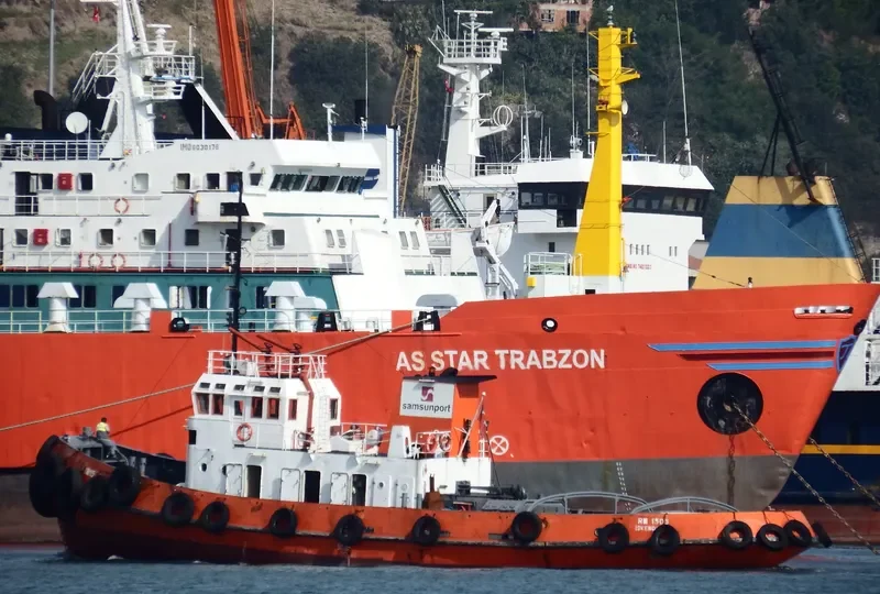 RM 1505 Tug Boat IMO 7827392 photo 3
