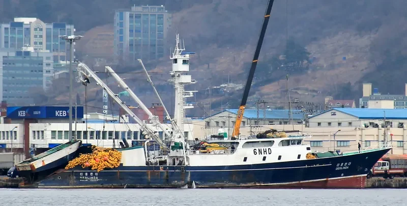 DEOLINDA General Cargo IMO 7827469