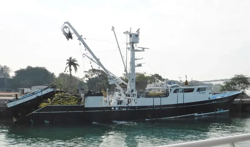 DON FRANCESCO General Cargo IMO 7827471