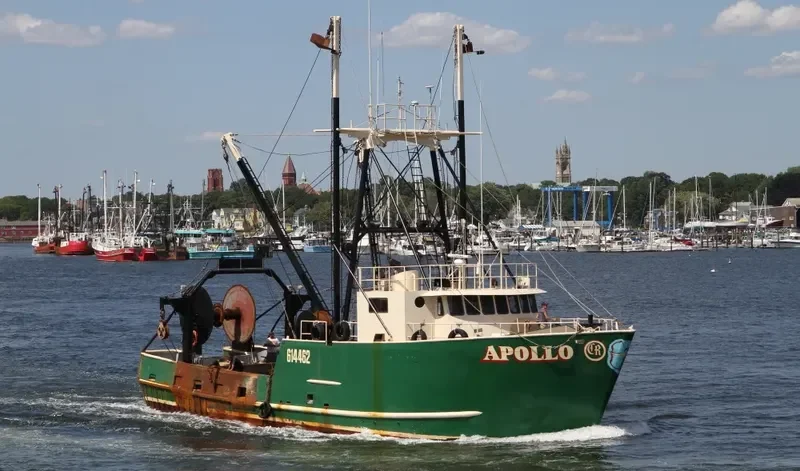 APOLLO Fishing Vessel IMO 7827548 photo 4