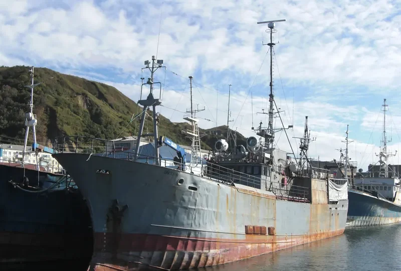 VICTORIA General Cargo IMO 7827859 photo 4