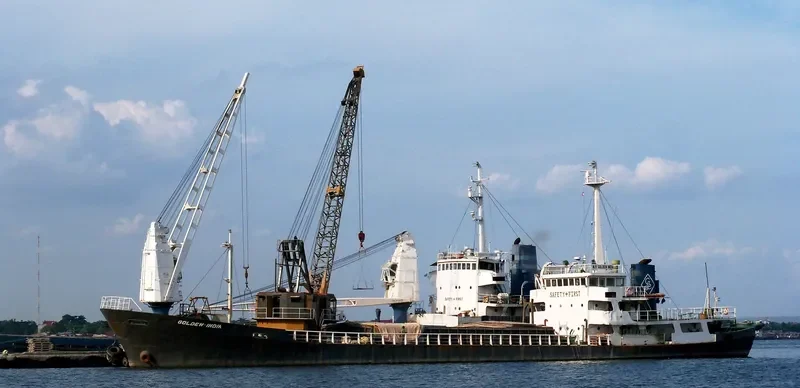 GOLDEN INDIA General Cargo IMO 7828073