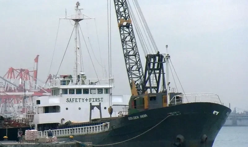 GOLDEN INDIA General Cargo IMO 7828073 photo 2