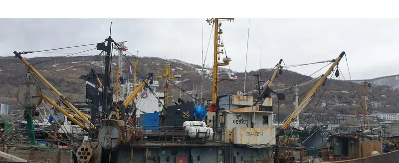 CHARYMOVO General Cargo IMO 7828566