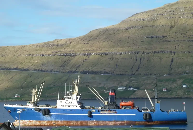 KAPITAN TELOV General Cargo IMO 7828619 photo 2