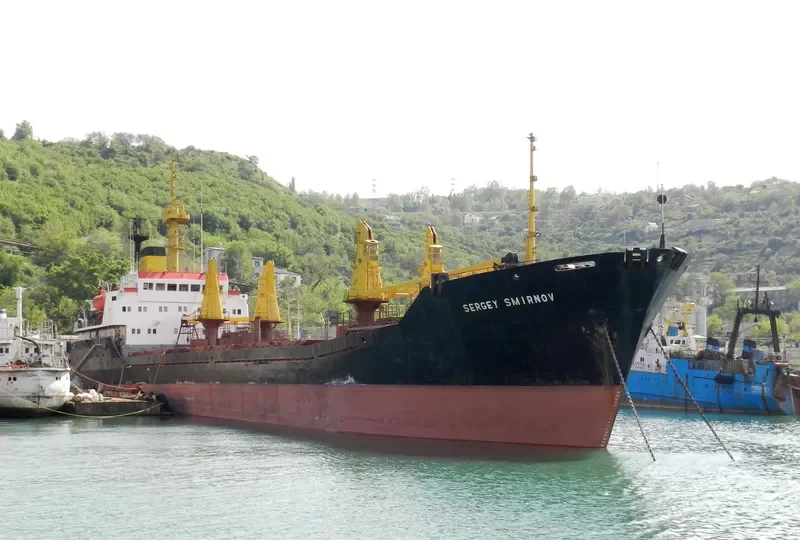 SERGEY SMIRNOV General Cargo IMO 7828724